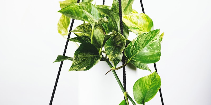 欧洲五大联赛足球比赛精彩瞬间 - 包括英超、西甲、德甲、意甲和法甲